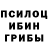 Галлюциногенные грибы ЛСД ecosad ecosad