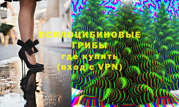 эйфоретик Аркадак