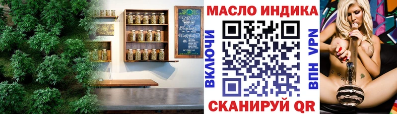 МЕГА ONION  купить наркотики цена  Чадан  ТГК THC oil 